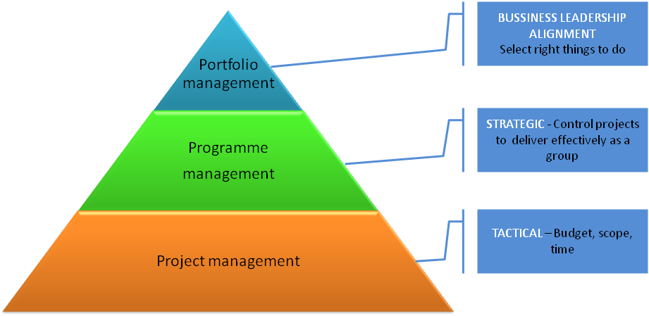 Programmes group projects to reach long-term objectives. Portfolios of projects and programmes are units for prioritization.